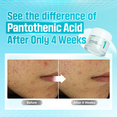 numbuzin No.1 Pantothenic B5 Active Soothing Cream 80ml / 2.82 fl.oz