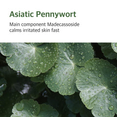 ROUND LAB Mugwort Calming Cream 80ml / 2.70fl.oz