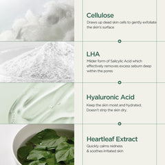 ANUA Heartleaf LHA Moisture Peeling Gel, 120ml / 4.05 fl.oz - KosBeauty
