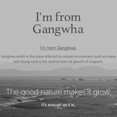 I'm from MUGWORT MASK 110g / 3.88 fl.oz ( EXP : 05/08/2026 )