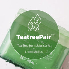 Mediheal Teatree Duo (Teatree Trouble Pad + Derma Modeling Pack Teatree Calming)