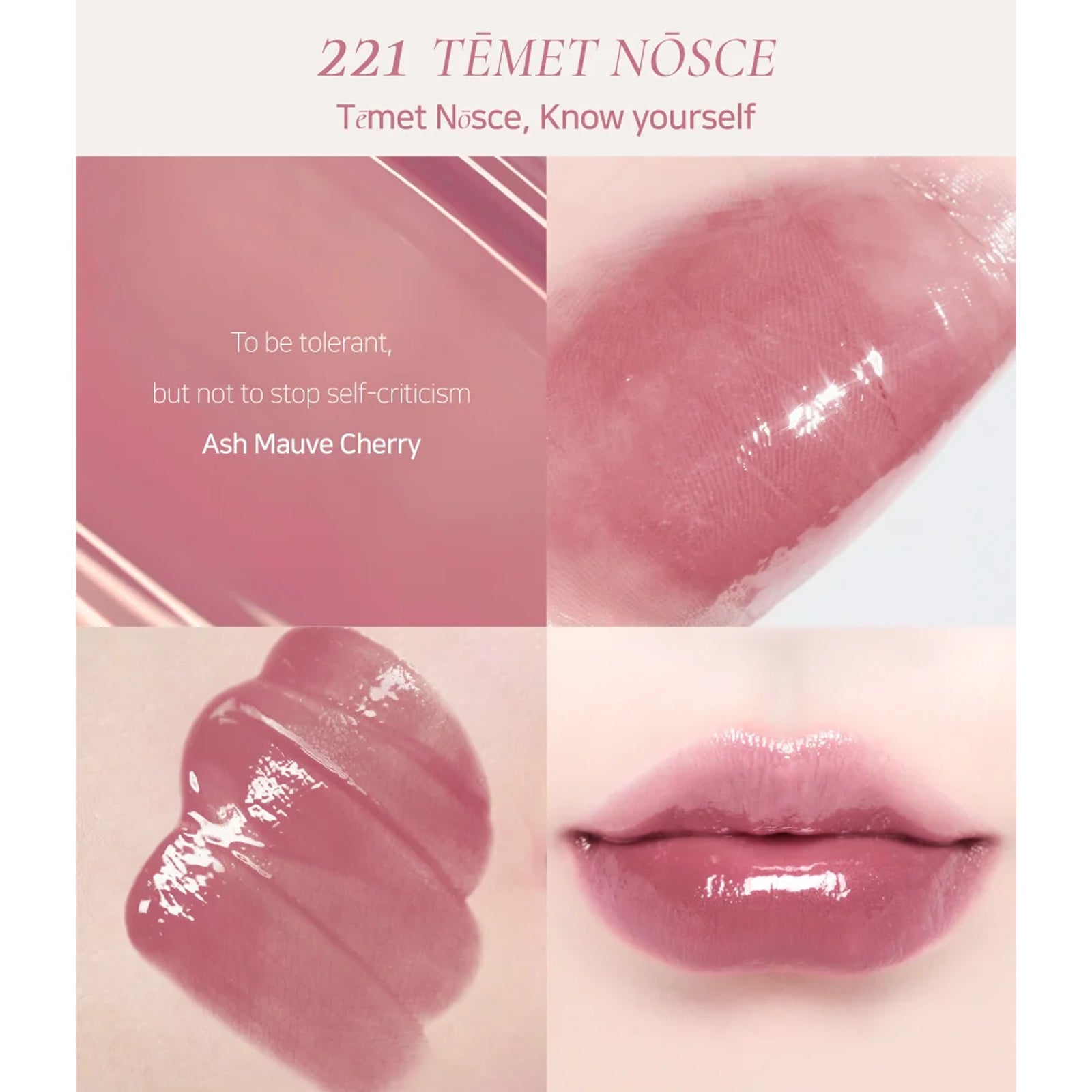 [ Dinto ] Blur Glowy Lip Tint 3.5g