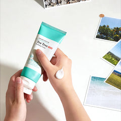 BRING GREEN Tea Tree Cica Soothing Cream, 100ml / 3.38 fl.oz( EXP : 9/2/2025)