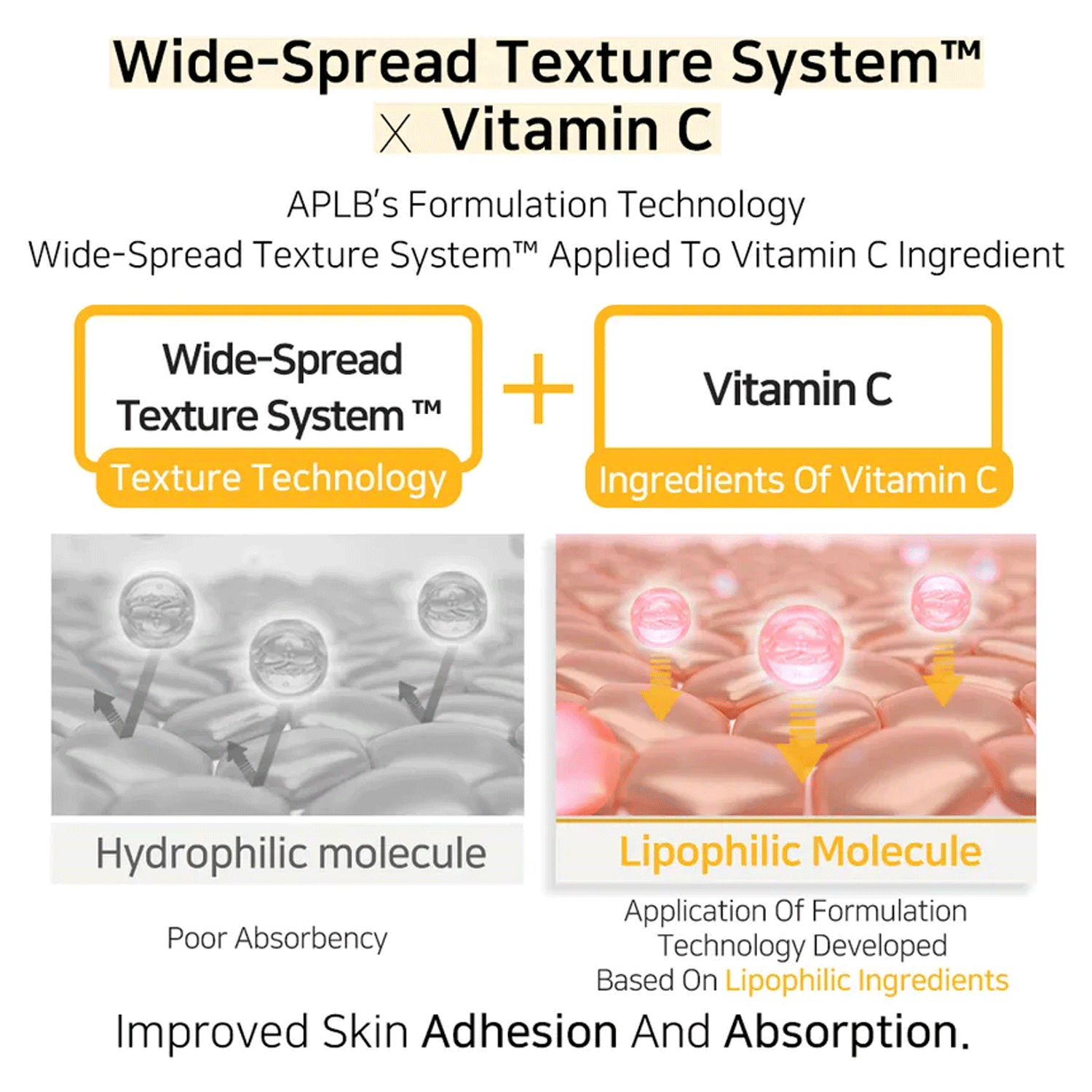 [ APLB ] Retinol Vitamin C Vitamin E Ampoule Serum 40ml / 1.35 fl. oz.