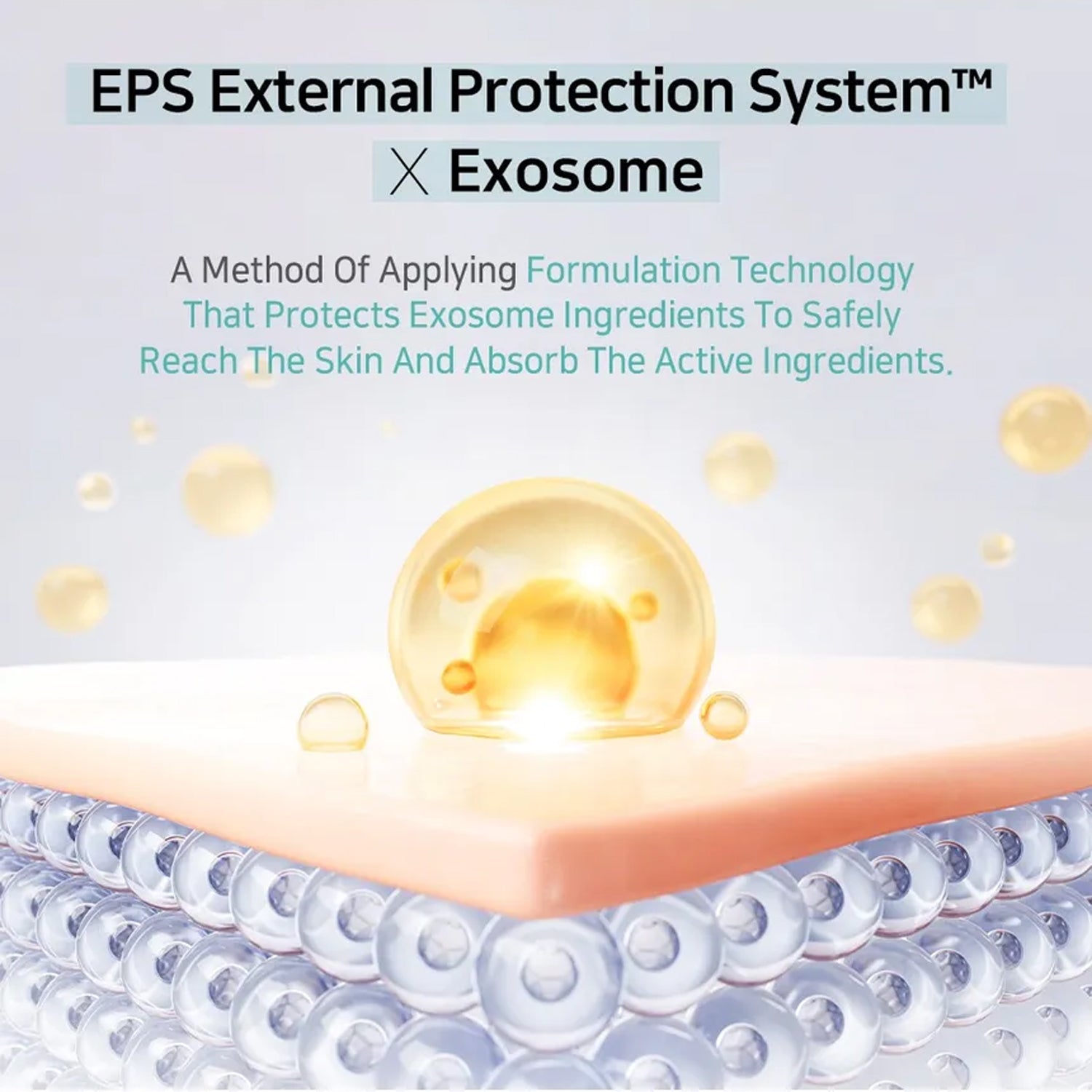 [ APLB ] Exosome Niacinamide EX Cream55ml / 1.86 fl.oz. - KosBeauty