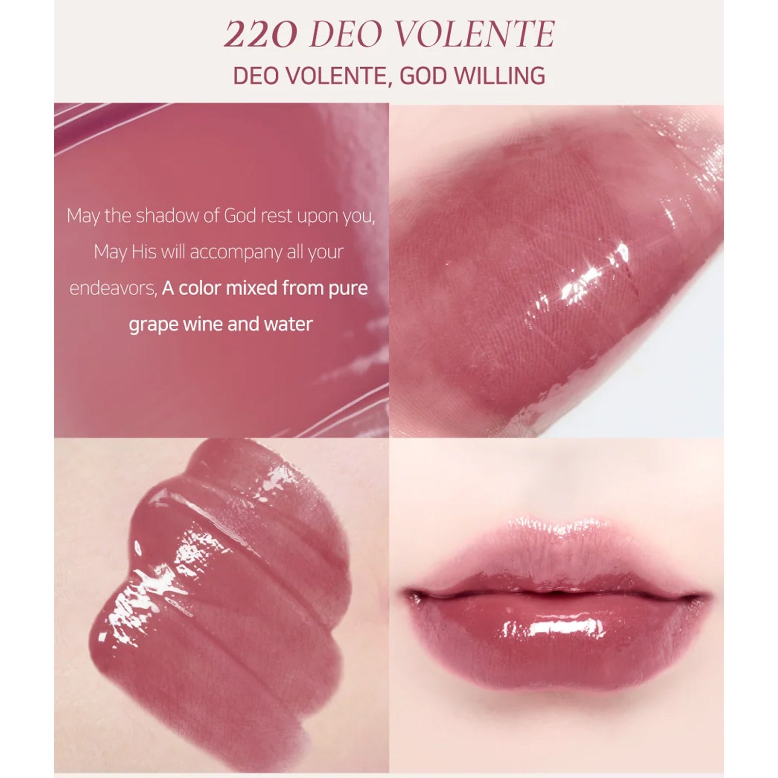 [ Dinto ] Blur Glowy Lip Tint 3.5g
