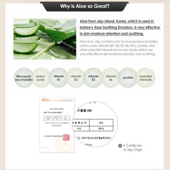 [ ISNTREE ] Aloe Soothing Emulsion, 120ml / 4.06 fl. oz. (EXP : 07/02/2025)