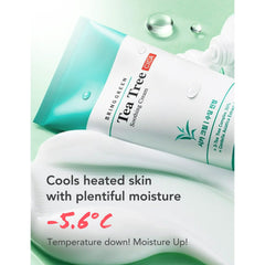 BRING GREEN Tea Tree Cica Soothing Cream, 100ml / 3.38 fl.oz( EXP : 9/2/2025)