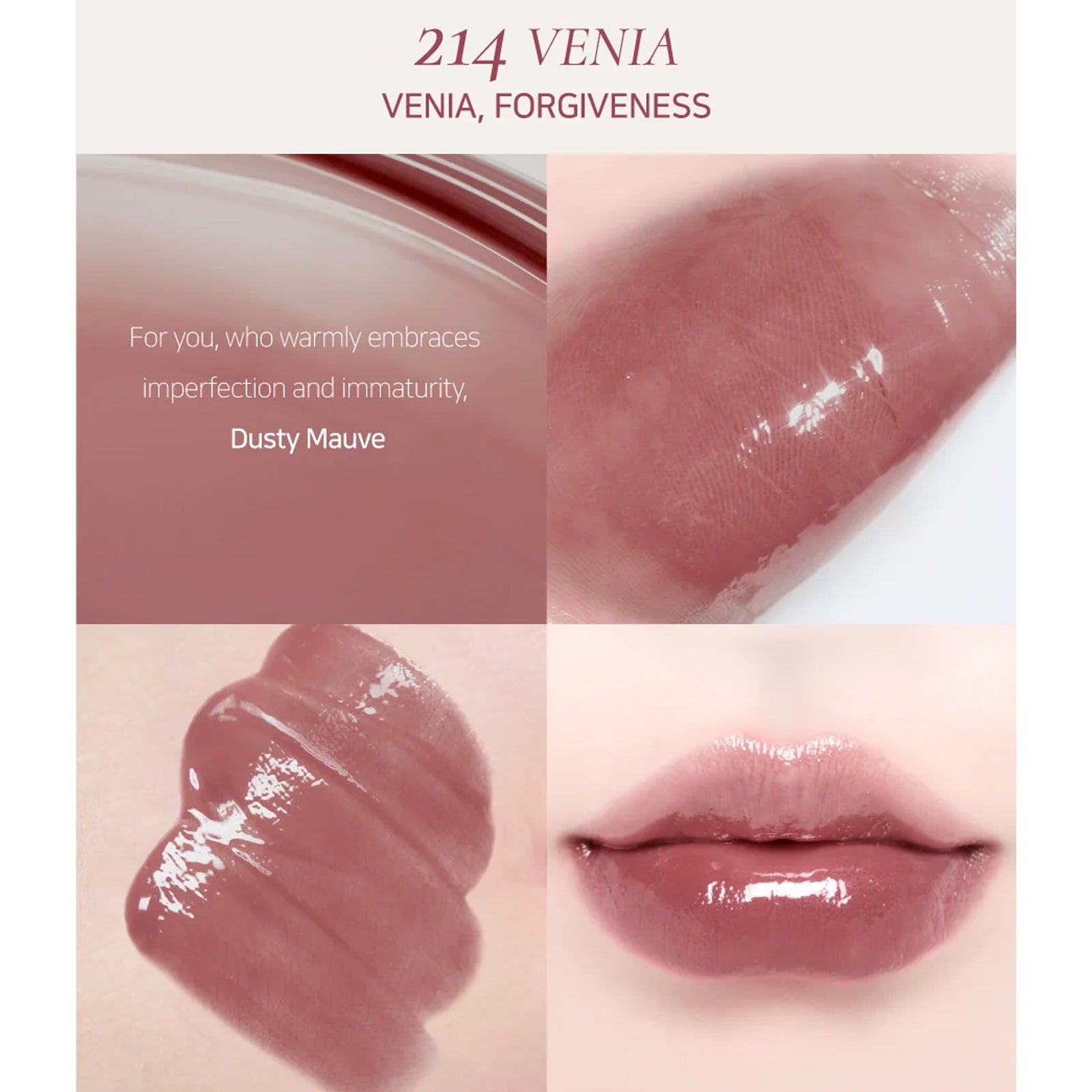[ Dinto ] Blur Glowy Lip Tint 3.5g