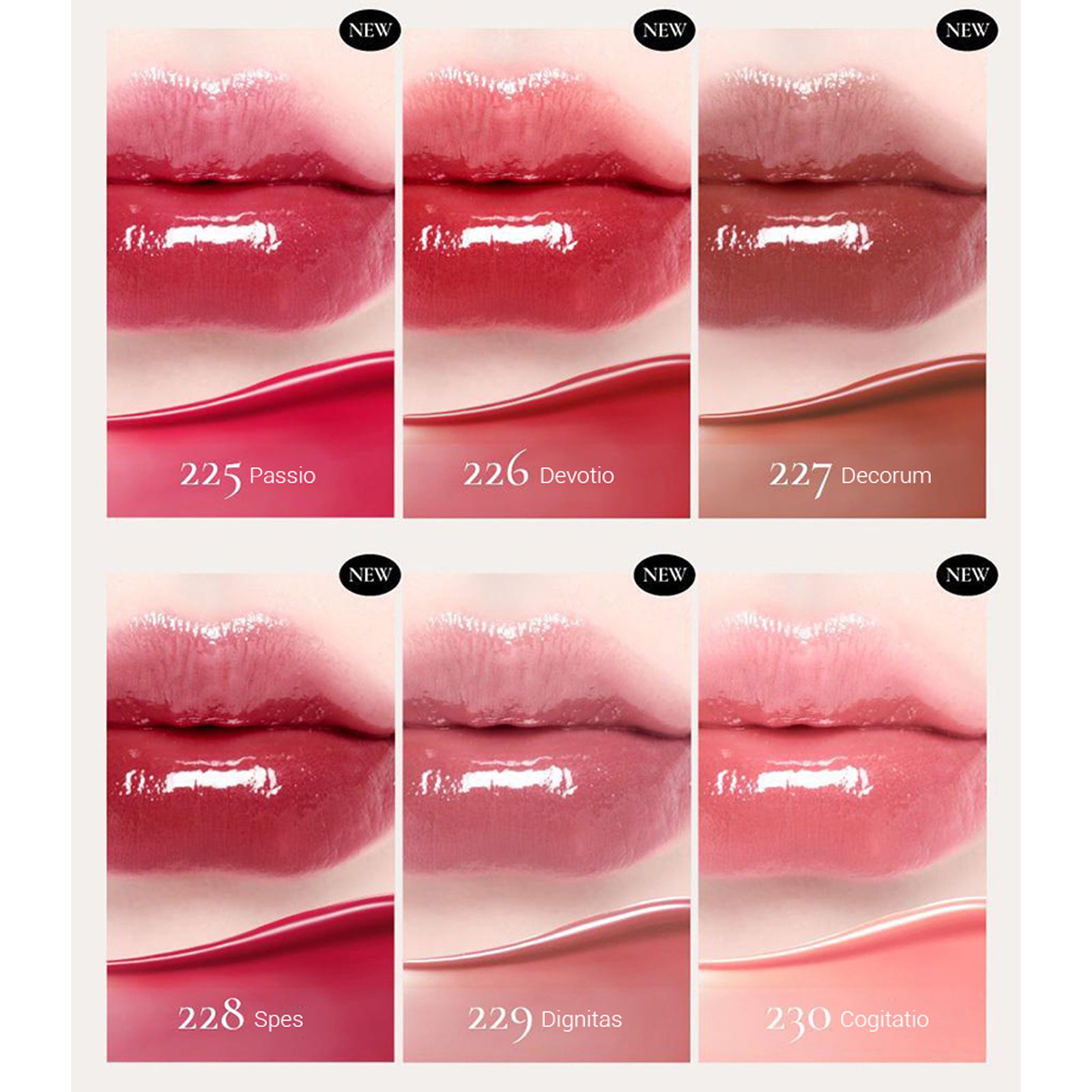 [ Dinto ] Blur Glowy Lip Tint 3.5g