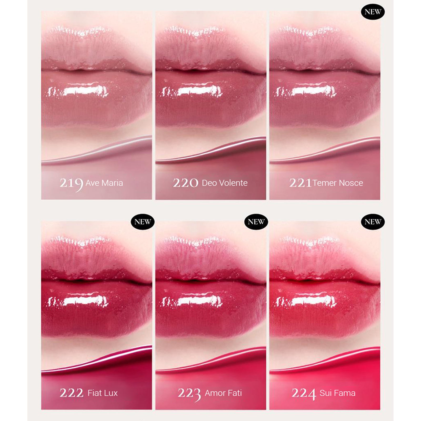 [ Dinto ] Blur Glowy Lip Tint 3.5g
