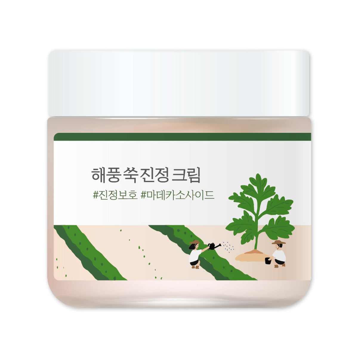 ROUND LAB Mugwort Calming Cream 80ml / 2.70fl.oz