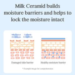 [ Nacific ] UYU Cream Set (Toner, Ampoule, Cream ) - KosBeauty