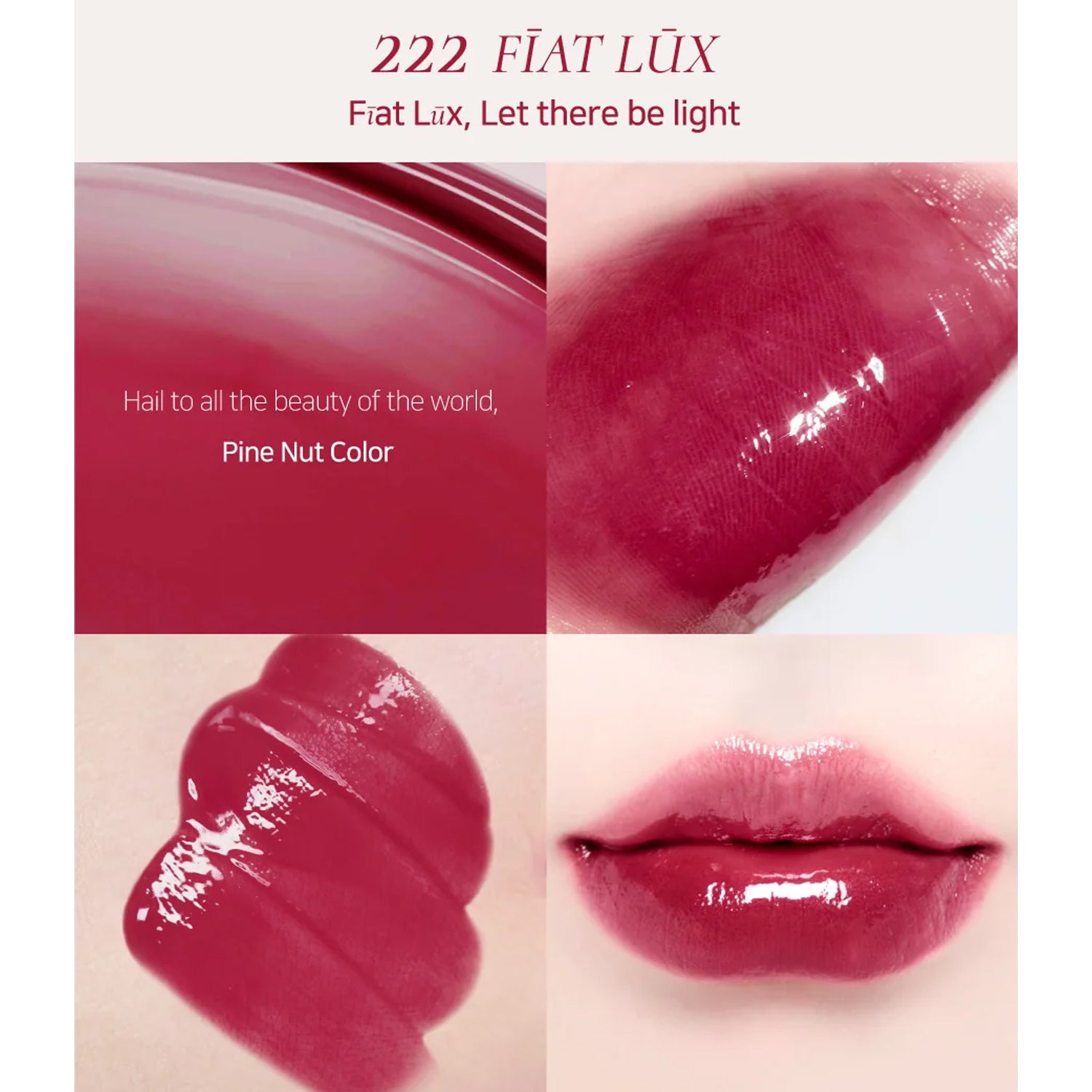 [ Dinto ] Blur Glowy Lip Tint 3.5g