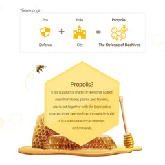 Kerasys Propolis Energy Plus Shampoo for Damaged Hair, 1000ml / 1 L