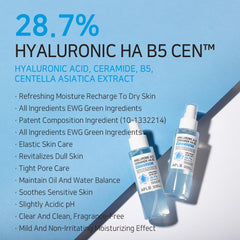 [ APLB ] Hyaluronic Acid Ceramide HA B5 Mist Essence 105ml/ 3.55 fl.oz.