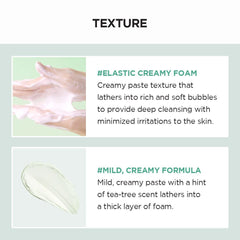 [ Skin1004 ] Madagascar Centella Tea-Trica BHA Foam, 125ml / 4.22 fl.oz
