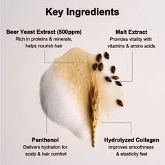 [ NINEMILA ] Calming Beer Shampoo for Postpartum Care 500ml e 16.9 fl.oz.