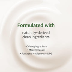 ROUND LAB Mugwort Calming Cream 80ml / 2.70fl.oz