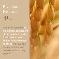 I'm from RICE CREAM 50g / 1.76 fl.oz