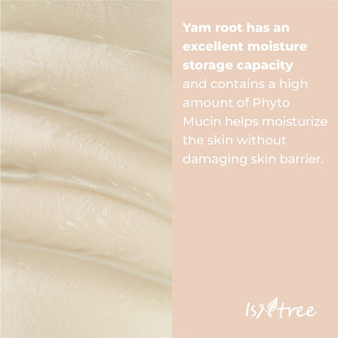 [ ISNTREE ] Yam Root Milk Tone Up Sun Cream SPF 50++++ UVA/UVB 50ml/1.69 fl.oz.