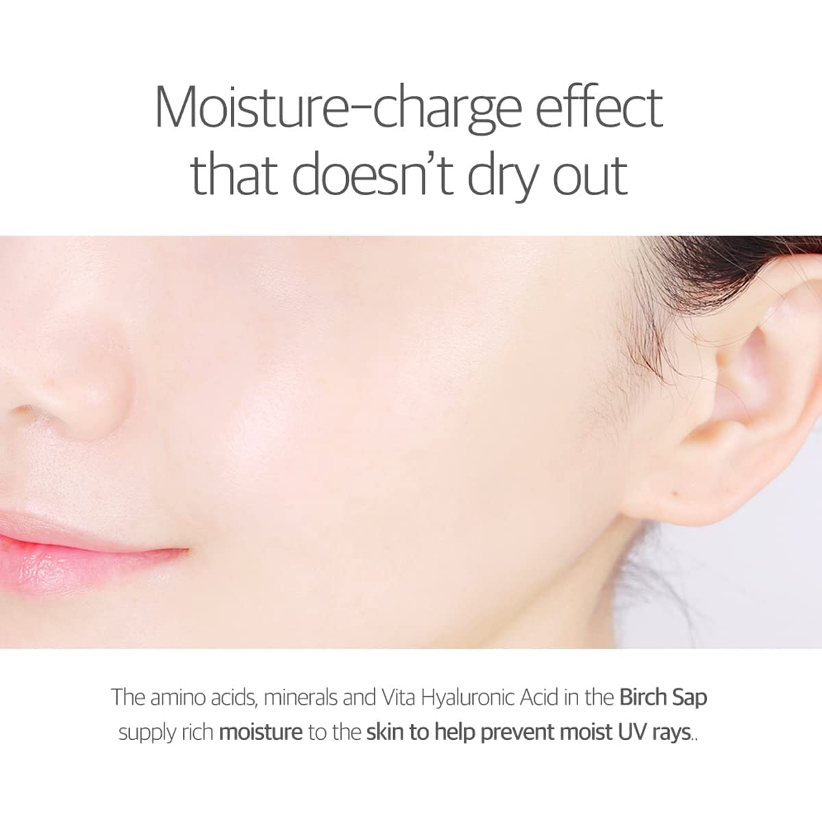 ROUND LAB Birch Moisturizing Sunscreen SPF 50+, PA++++ 50mL