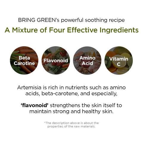 BRING GREEN Artemisia Calming Water Cream, 75ml