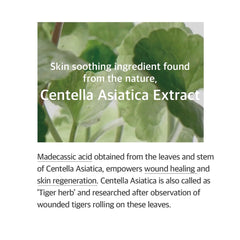 MIXSOON Soondy Centella Asiatica Essence 100ml / 3.38 fl.oz
