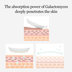 [ MIXSOON ] Galactomyces Toner Pad 60 sheets