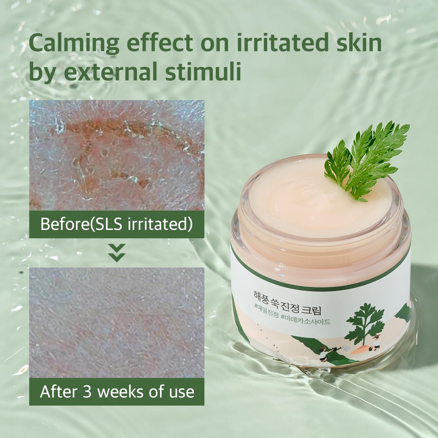 ROUND LAB Mugwort Calming Cream 80ml / 2.70fl.oz