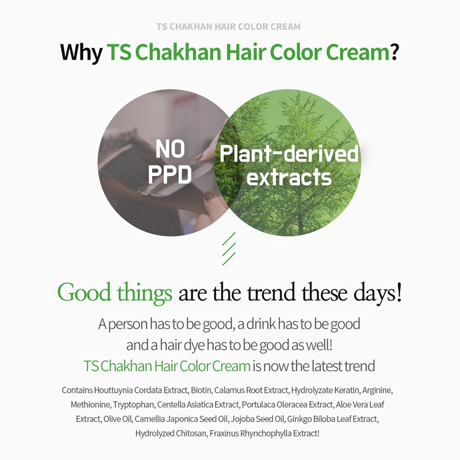 TS Chakhan Hair Color Cream to cover gray hair (5 colors) - KosBeauty