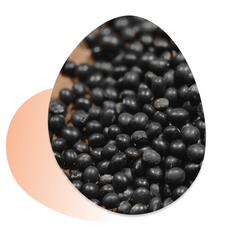 ROUND LAB Soybean Nourishing Toner 300ml