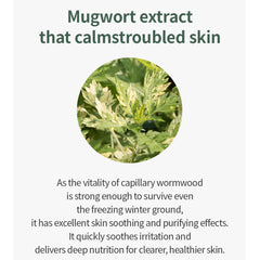 [ ISNTREE ] Mugwort Calming Ampoule 50ml (EXP : 07/16/2025)