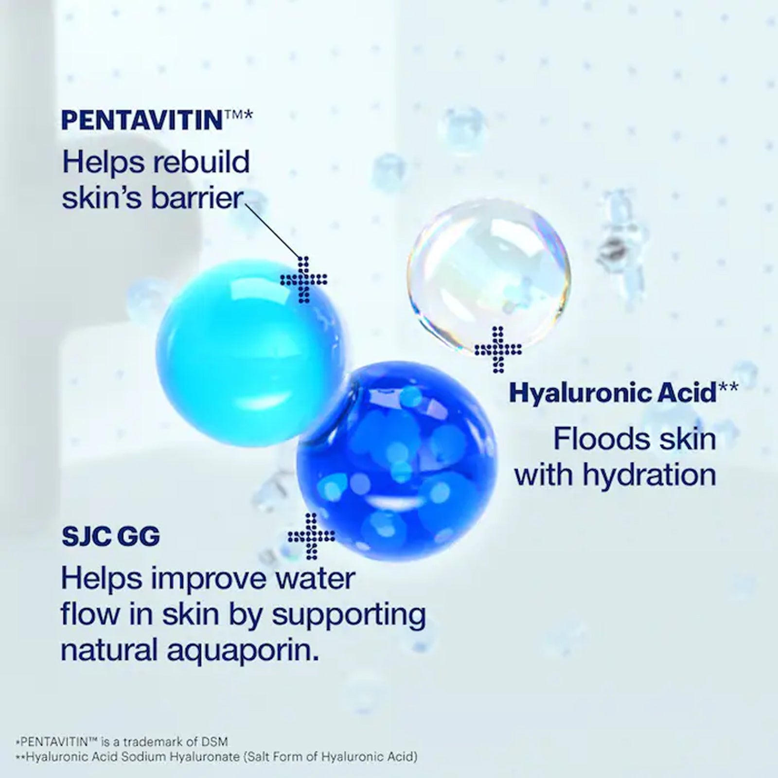 [ Dr.Jart+ ] Vital Hydra Solution Hydro Plump Water Cream 50ml / 1.69 fl.oz.