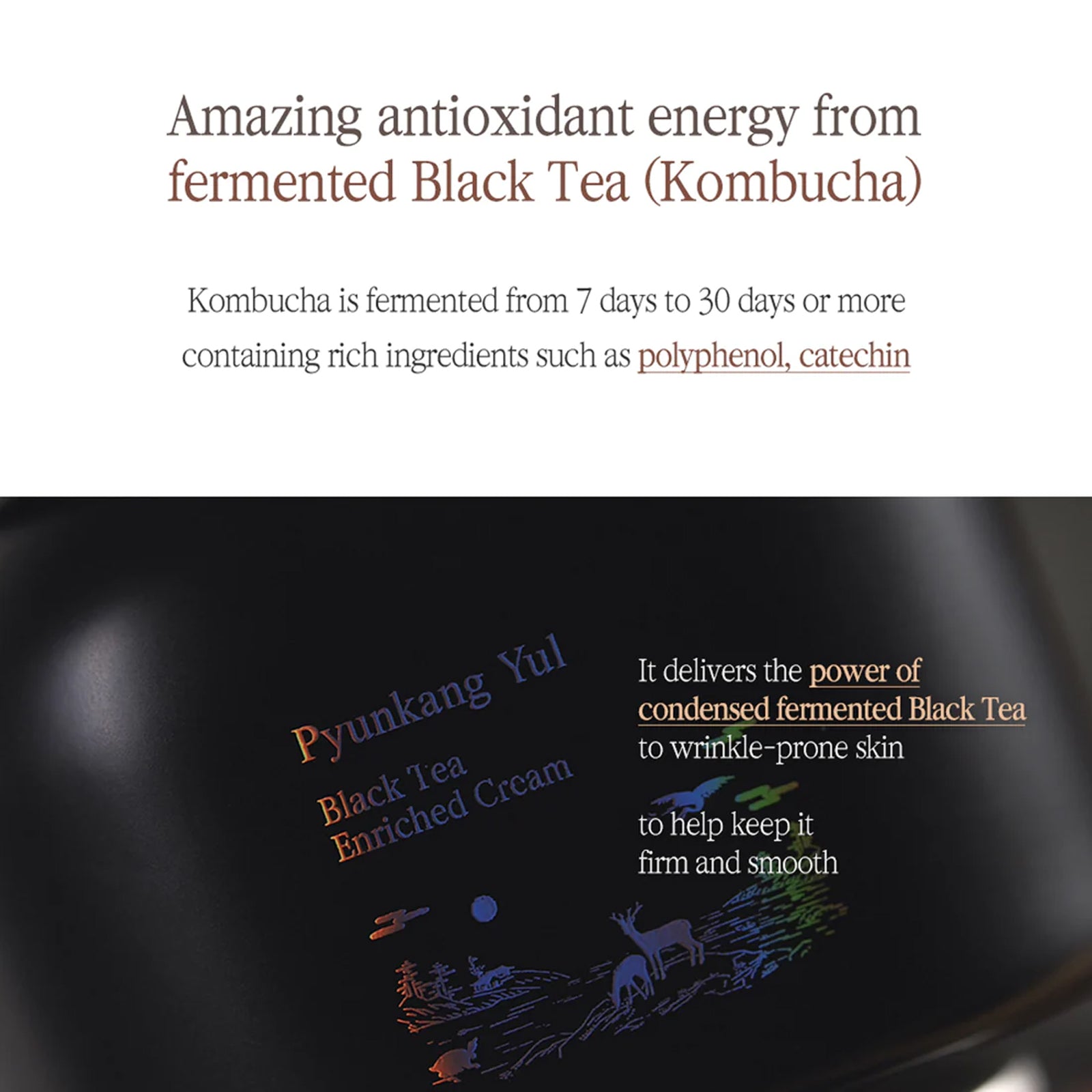 [ Pyunkang Yul ] Black Tea Enriched Cream 60ml / 2.02 fl. oz.