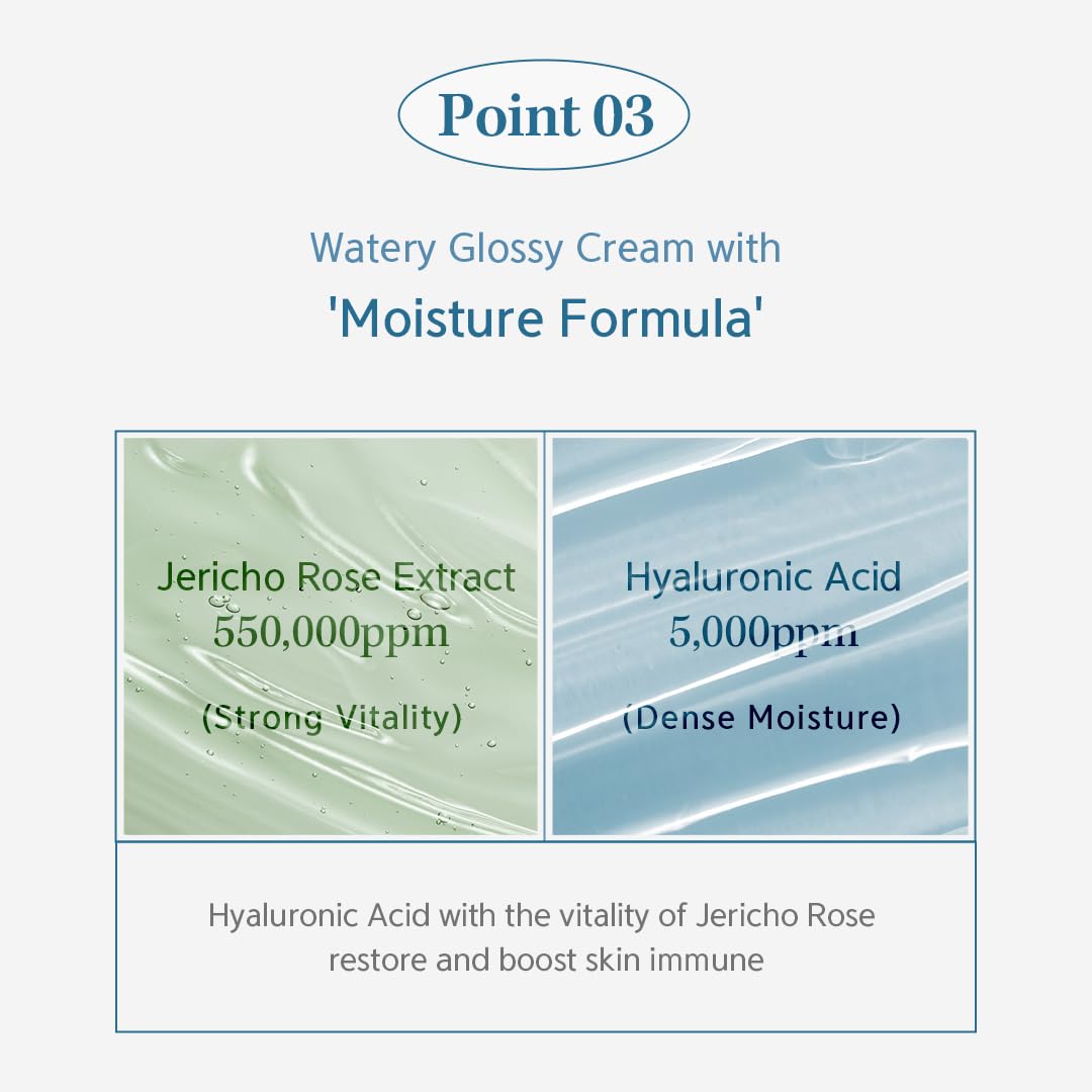 [ NACIFIC ] Hyal Booster Cream, 50ml, 1.76 fl.oz