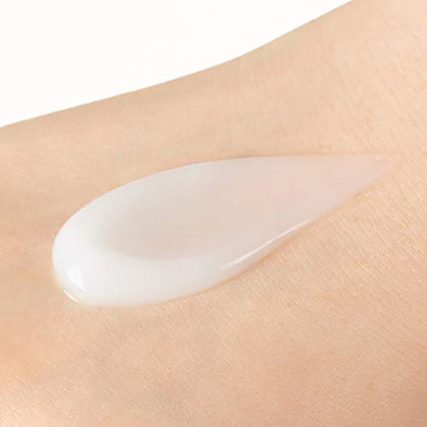 Nature Republic Super Aqua Max Fresh Watery Cream Face Moisturizer for Oily Skin, 80ml