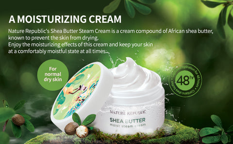 Nature Republic Shea Butter Moist Steam Cream Moisturizer for Normal to Dry Skin, 100ml