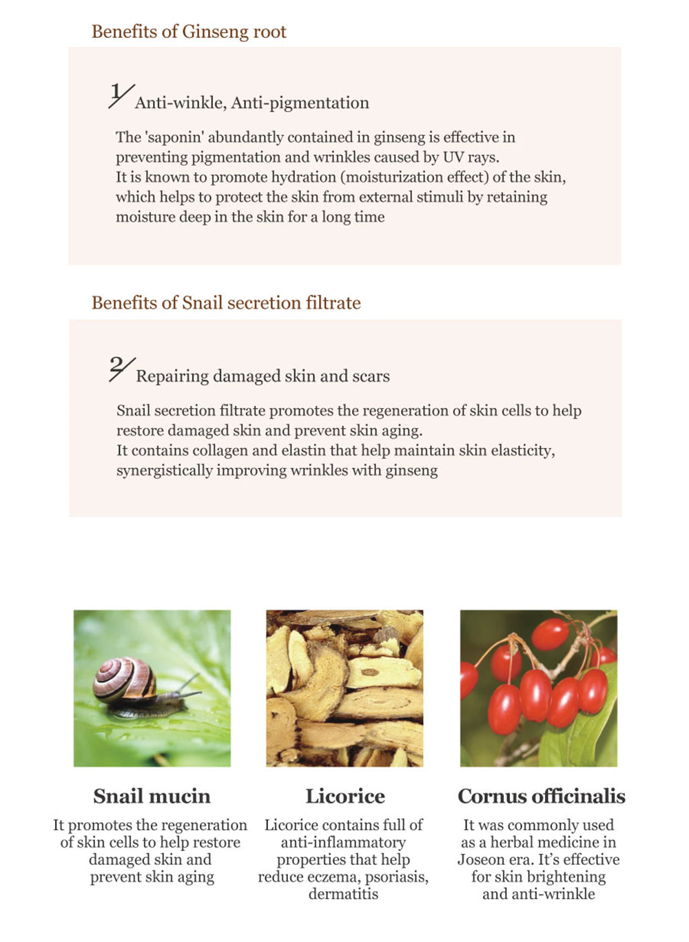 [ Beauty of Joseon ] Repair Serum: Ginseng + Snail Mucin 30ml / 1.01 fl.oz.