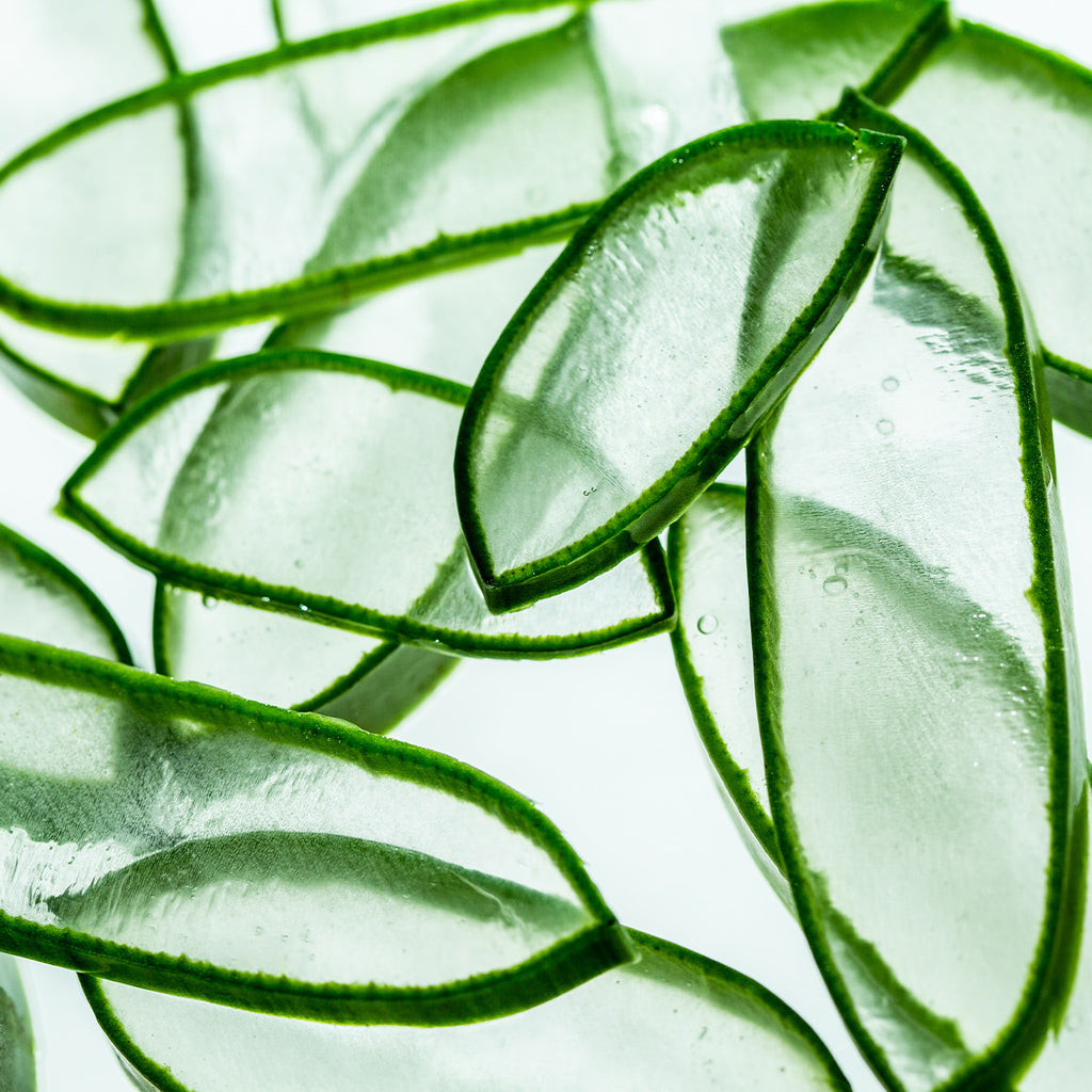 [ AROMATICA ] Soothing Aloe Aqua Cream 150ml (5.07 fl. oz.)