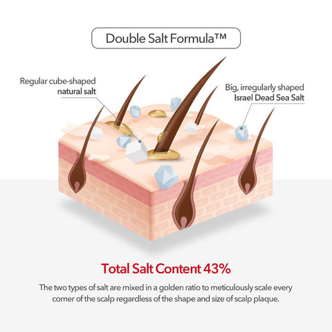 [ DR.FORHAIR ] Folligen Sea Salt Scaler 300g / 10.58 fl.oz.