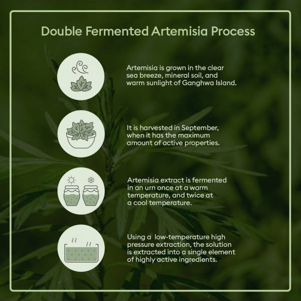 [ MISSHA ] Time Revolution Artemisia Pack Foam Cleanser 150ml (5.07 fl. oz.)