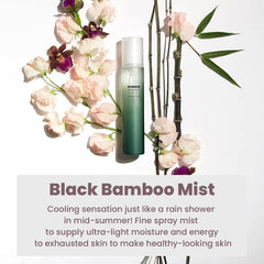 Haruharu Wonder Black Bamboo Facial Mist 150ml - KosBeauty