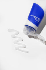[ ISNTREE ] Hyaluronic Acid Aqua Gel Cream, 100ml / 3.38 fl. oz.