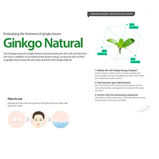 CHARMZONE Ginkgo Natural Cleansing Foam 180 ml - KosBeauty