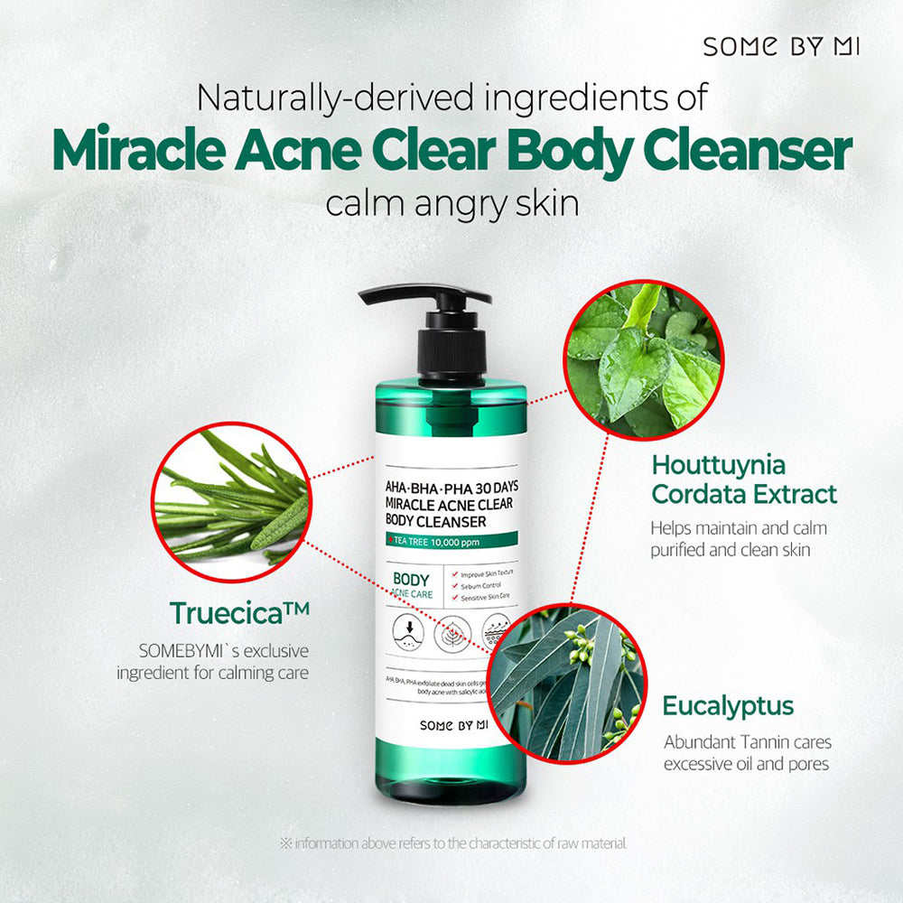 Some By Mi AHA BHA PHA 30 Days Miracle Acne Clear Body Cleanser 400g