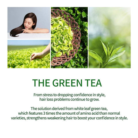 Amos Professional The Green Tea Shampoo Moist Scalp Nourish 500g